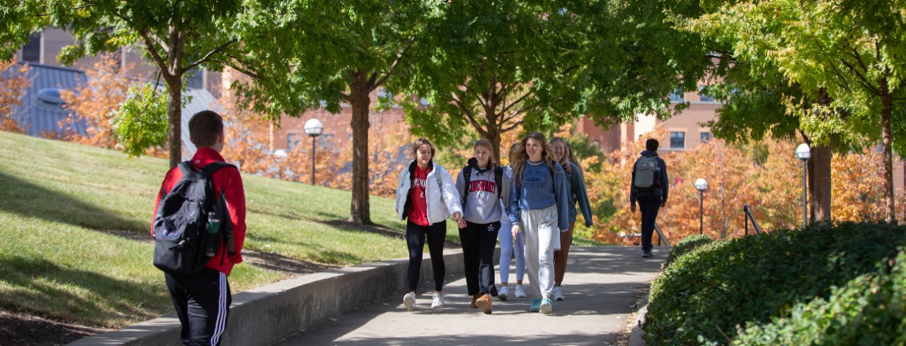 students walking on sidewalks through campus with trees above. 